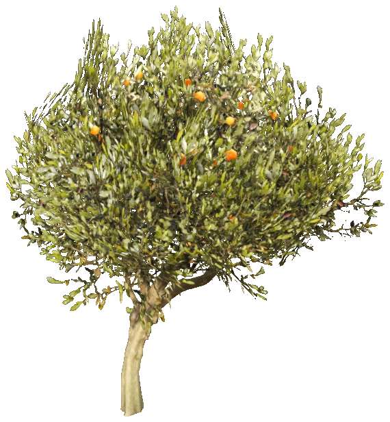 prop_tree_birch_05