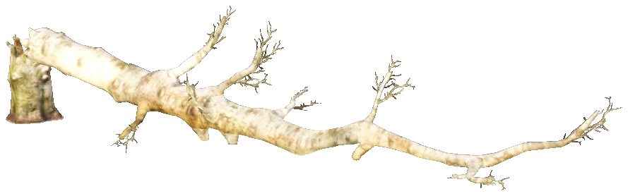 prop_tree_fallen_01