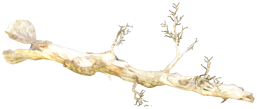 prop_tree_fallen_02