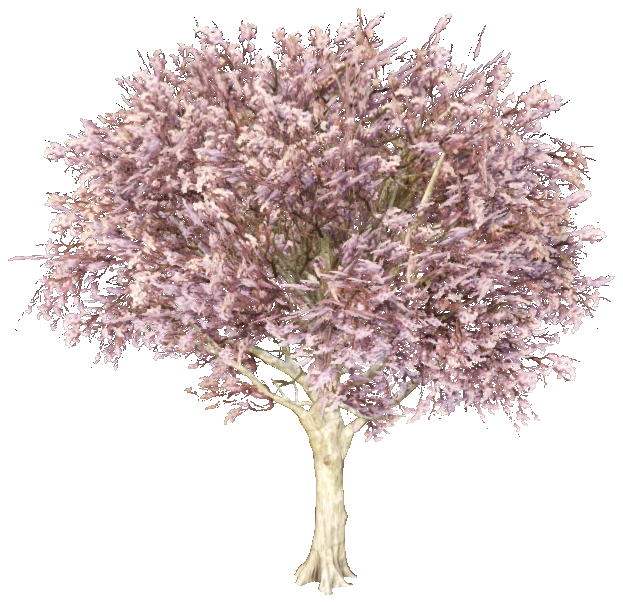 prop_tree_jacada_02