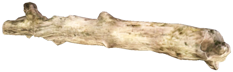 prop_tree_log_01