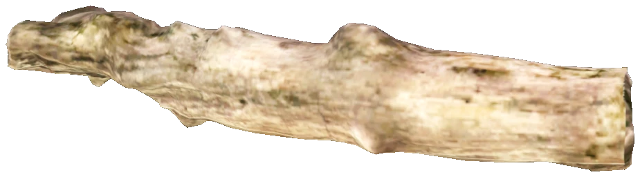 prop_tree_log_02