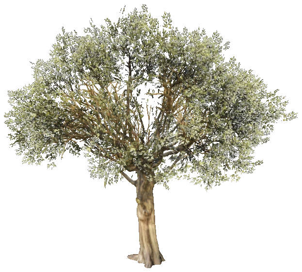 prop_tree_olive_creator