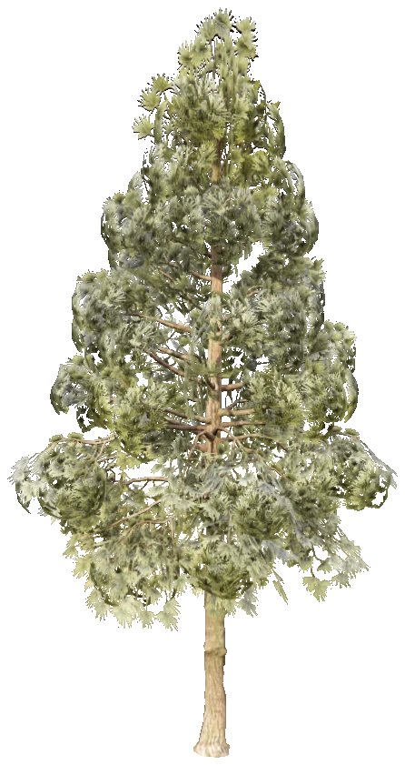 prop_tree_pine_02