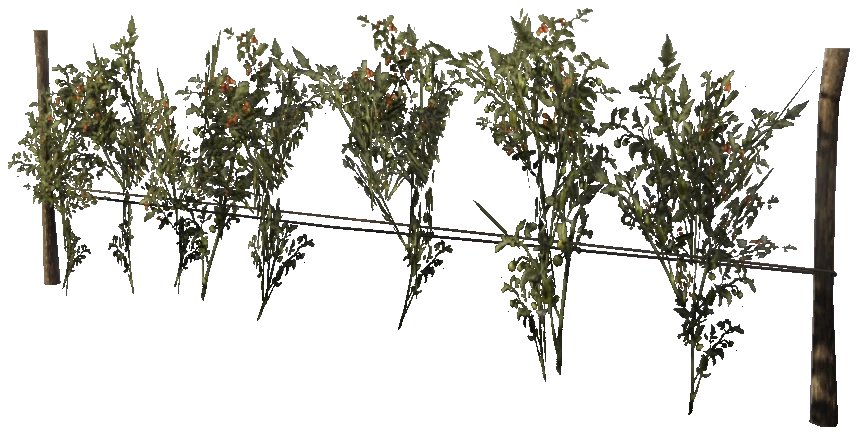 prop_veg_crop_01
