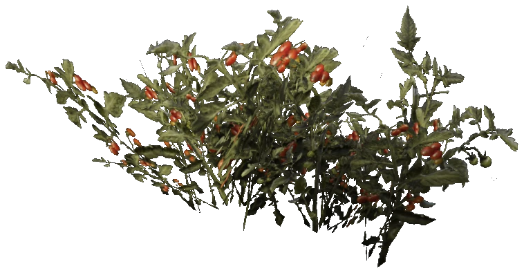 prop_veg_crop_02