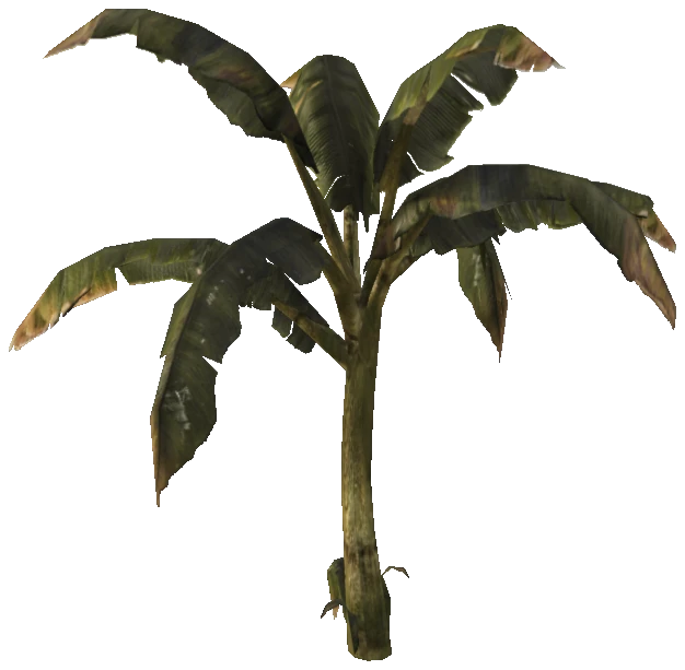 prop_veg_crop_tr_01