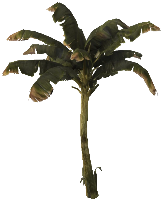 prop_veg_crop_tr_02