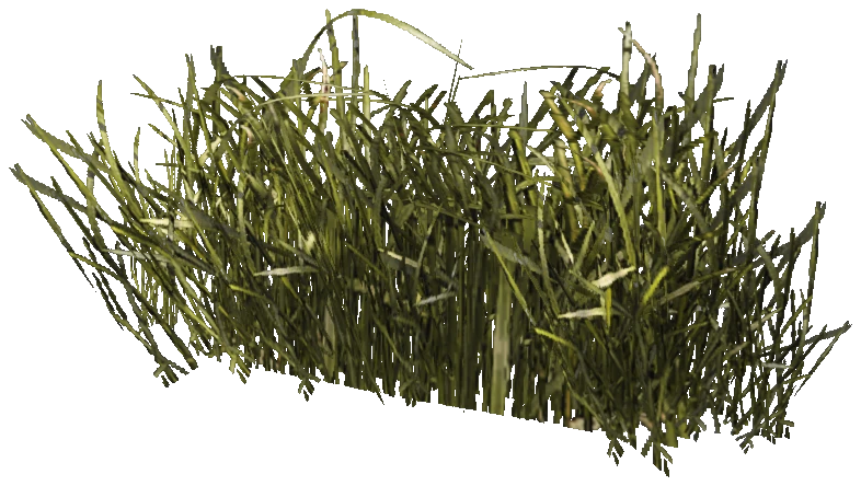prop_veg_grass_01_a