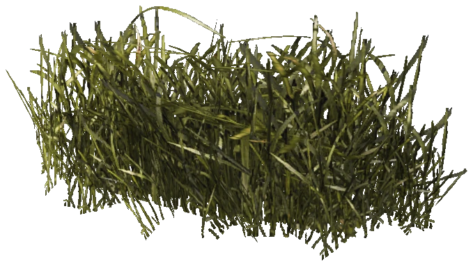 prop_veg_grass_01_b