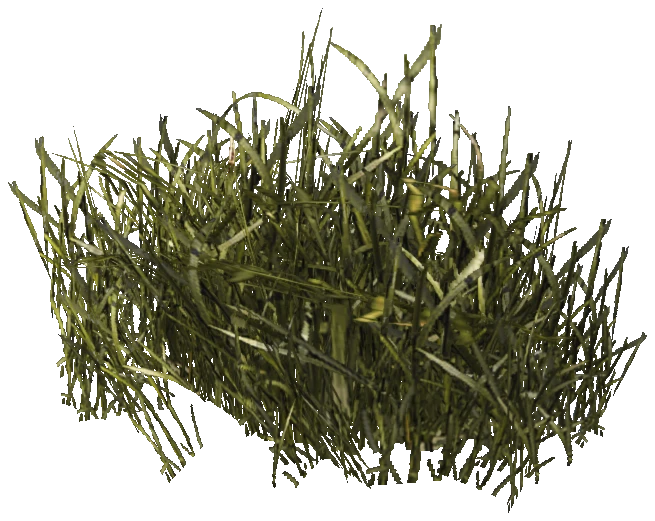 prop_veg_grass_01_c