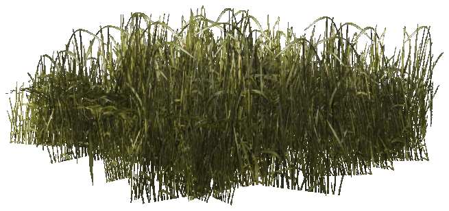 prop_veg_grass_01_d