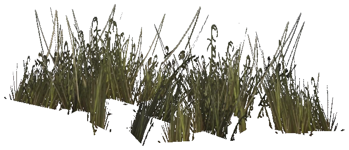 prop_veg_grass_02_a