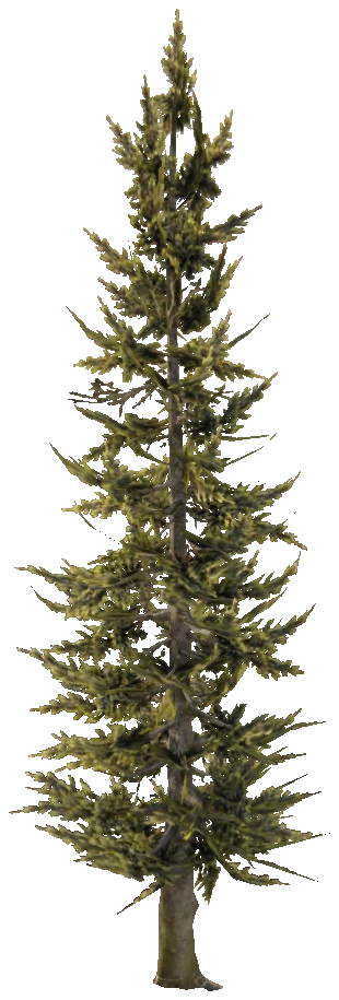 prop_w_r_cedar_01
