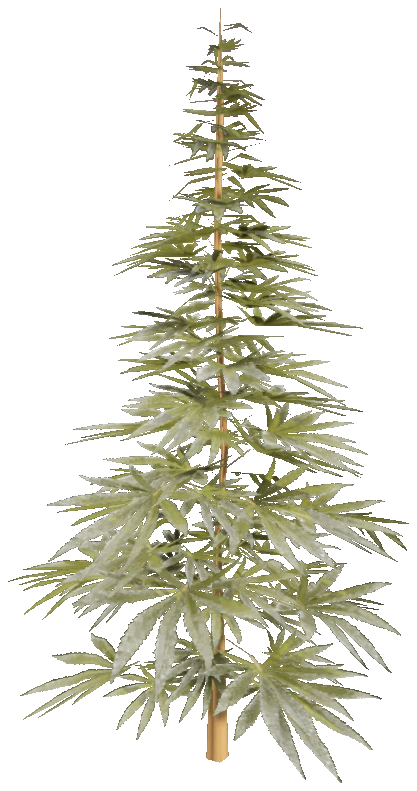 prop_weed_01
