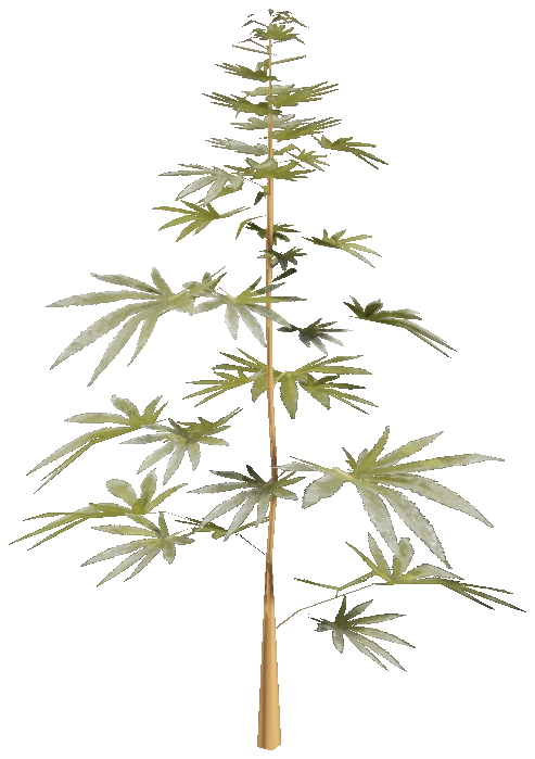 prop_weed_02
