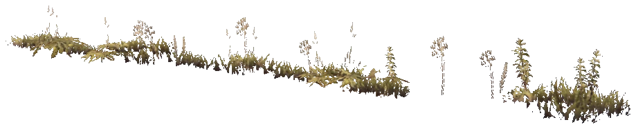 prop_weeddead_nxg01