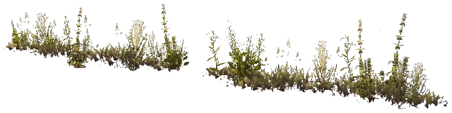 prop_weeddry_nxg01