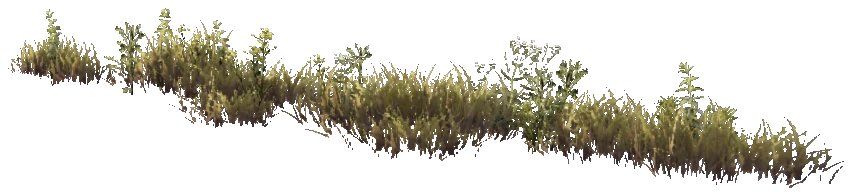 prop_weeddry_nxg03