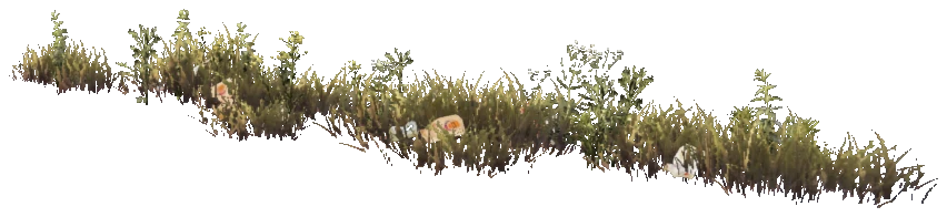 prop_weeddry_nxg03b