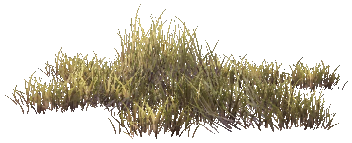 prop_weeddry_nxg04
