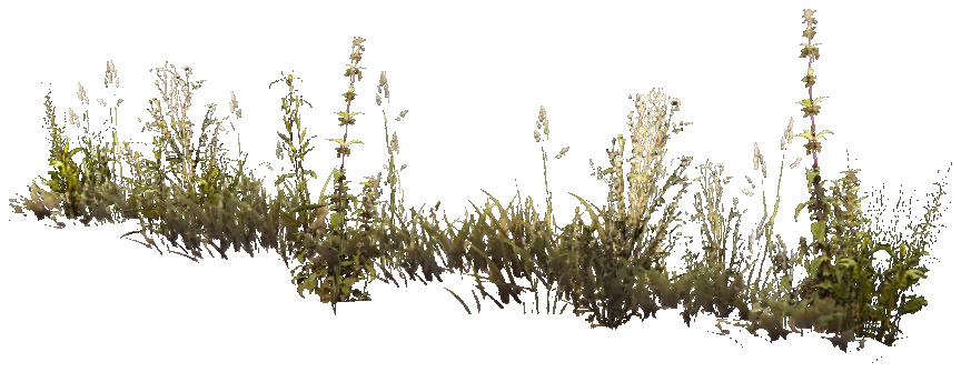 prop_weeddry_nxg05