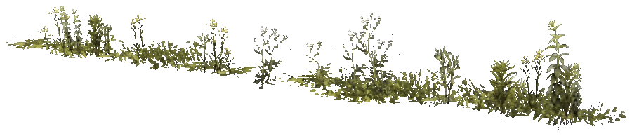 prop_weeds_nxg01