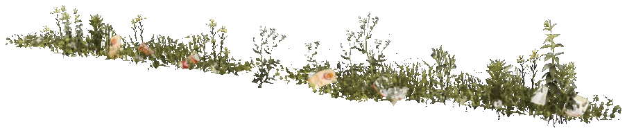 prop_weeds_nxg01b