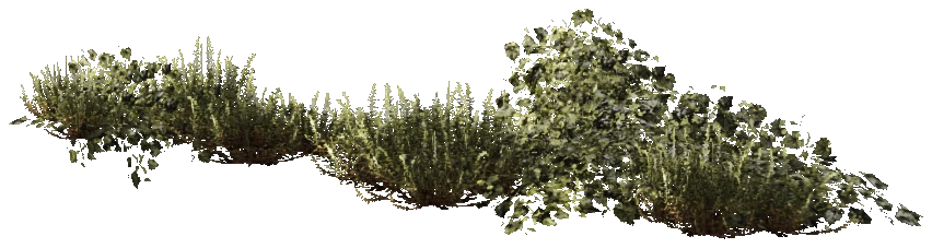prop_weeds_nxg02
