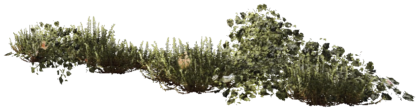 prop_weeds_nxg02b