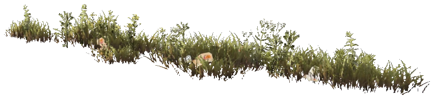 prop_weeds_nxg03b