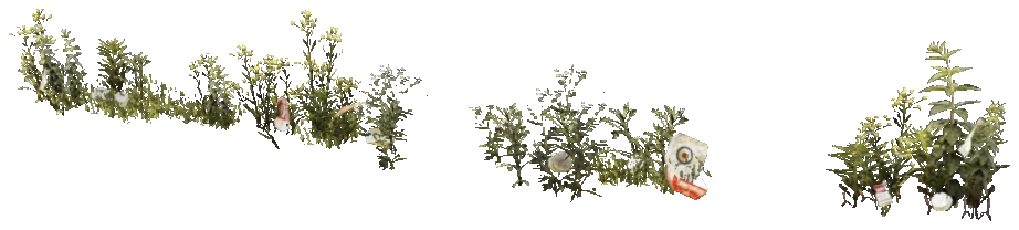 prop_weeds_nxg04b