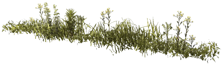 prop_weeds_nxg05