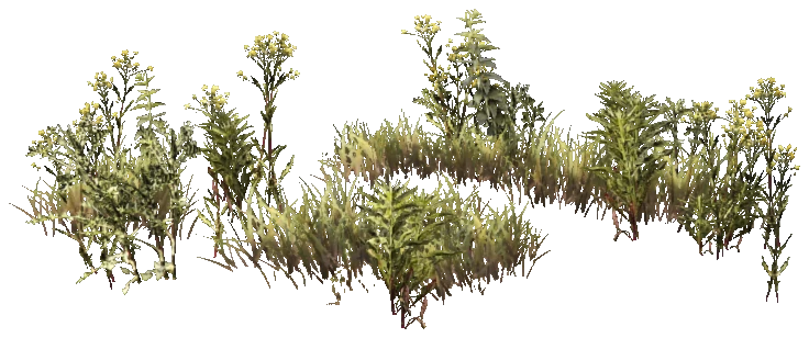 prop_weeds_nxg06