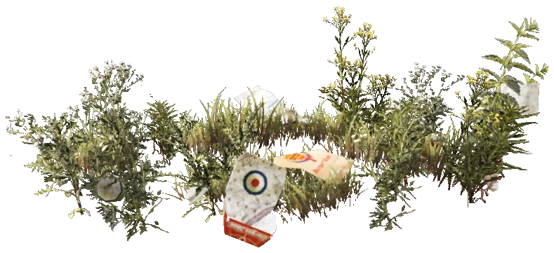 prop_weeds_nxg07b