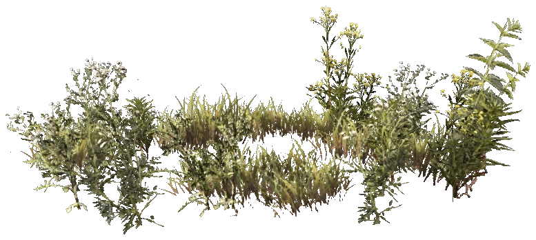 prop_weeds_nxg07b001