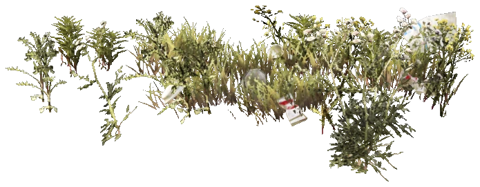 prop_weeds_nxg08b