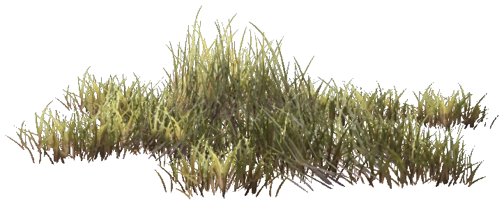 prop_weeds_nxg09
