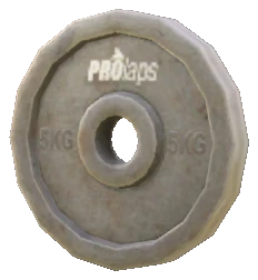 prop_weight_5k