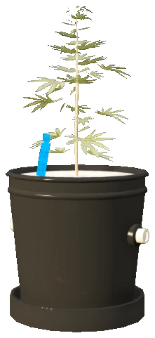 sf_prop_sf_art_plant_s_01a