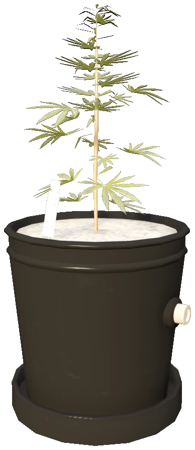 sf_prop_sf_weed_01_small_01a