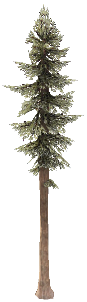 test_tree_forest_trunk_01