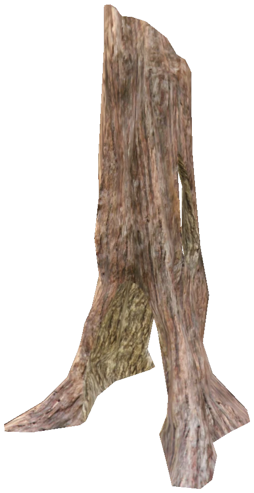 test_tree_forest_trunk_04