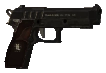 w_pi_pistol