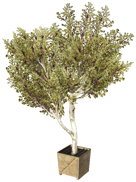 xm3_prop_xm3_prop_tree_01a