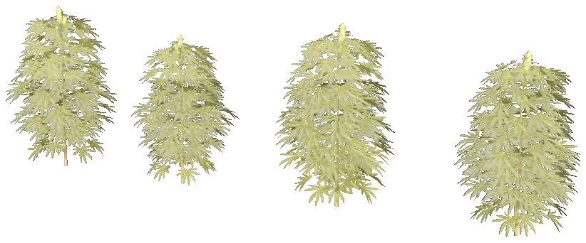 xm3_prop_xm3_weed_set_01a