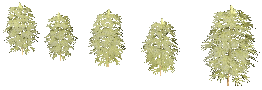 xm3_prop_xm3_weed_set_01b