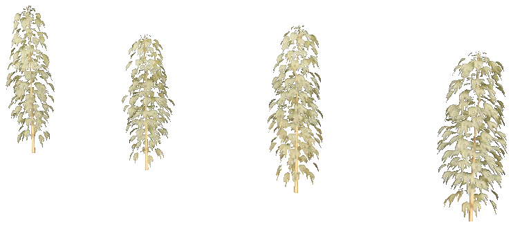xm3_prop_xm3_weed_set_02a