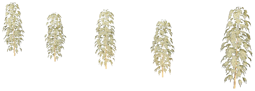 xm3_prop_xm3_weed_set_02b