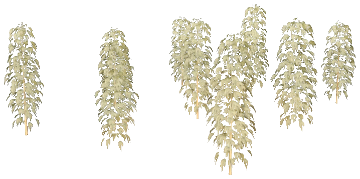 xm3_prop_xm3_weed_set_02c